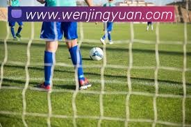 中国智造在2026世界杯中的核心角色转变